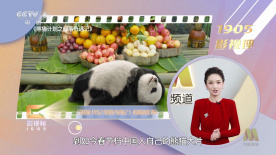亚洲一区二区三区播放在线